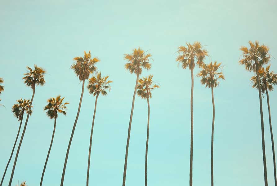 Can I Buy Nicotine Pouches in California?