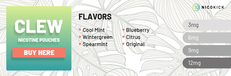 All CLEW pouches flavors online All CLEW pouches flavors online
