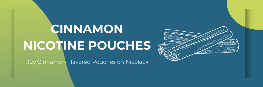 A drawing of cinnamon sticks on a blue background - Citrus Flavored Nicotine Pouches on Nicokick