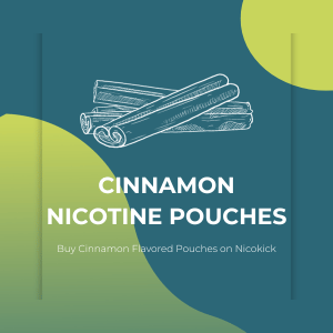 A drawing of cinnamon sticks on a blue background - Citrus Flavored Nicotine Pouches on Nicokick