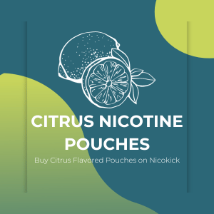 A drawing of a lemon on a blue background - Citrus Flavored Nicotine Pouches on Nicokick