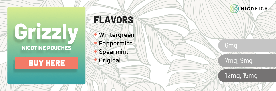 All Grizzly nicotine pouch flavors All Grizzly nicotine pouch flavors
