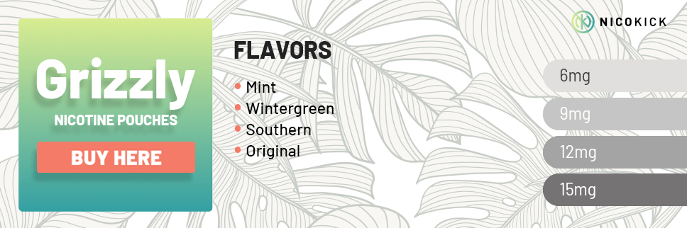 All Grizzly nicotine pouch flavors All Grizzly nicotine pouch flavors
