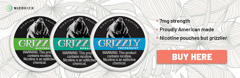 Grizzly Nicotine Pouch Flavors