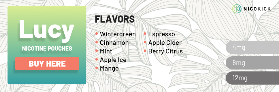 All Lucy nicotine pouch flavors