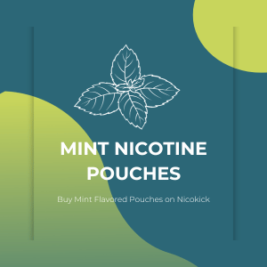 A drawing of mint leaves on a blue background - Mint Flavored Nicotine Pouches on Nicokick