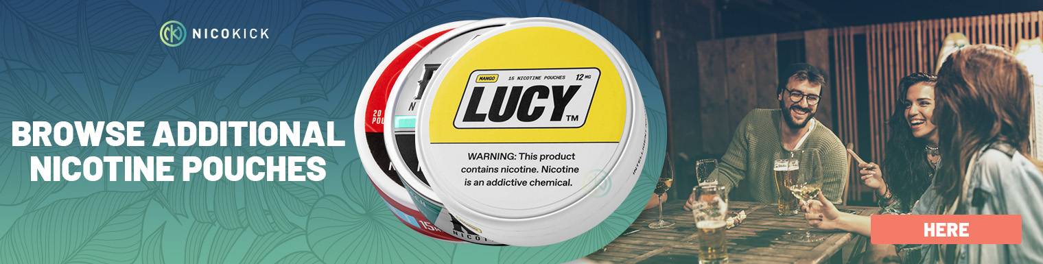 Nicotine Pouches Category Banner