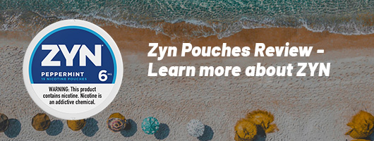 Zyn Pouches Review