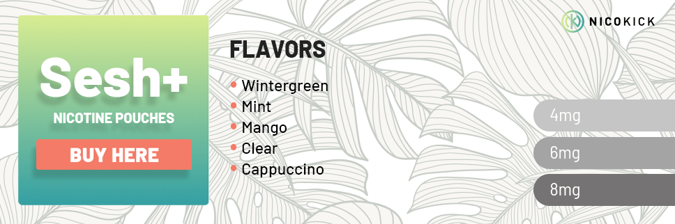 All Sesh nicotine pouches flavors All Sesh nicotine pouches flavors