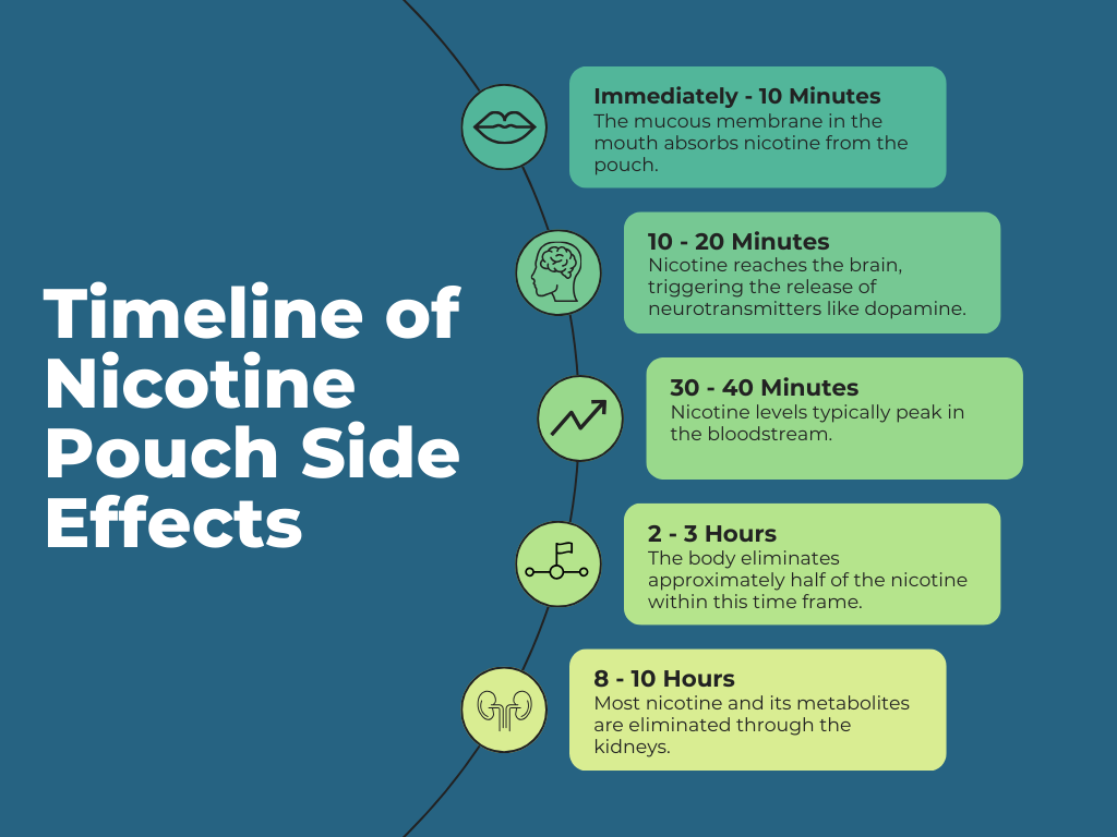 ZYN Side Effects Timeline