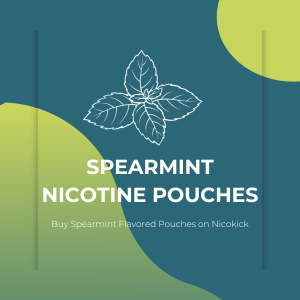 A drawing of mint leaves on a blue background - Spearmint Flavored Nicotine Pouches on Nicokick