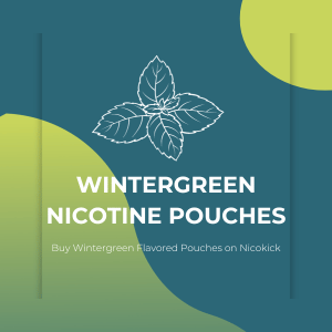 A drawing of mint leaves on a blue background - Wintergreen Flavored Nicotine Pouches on Nicokick