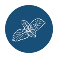 Mint Leaves Icon