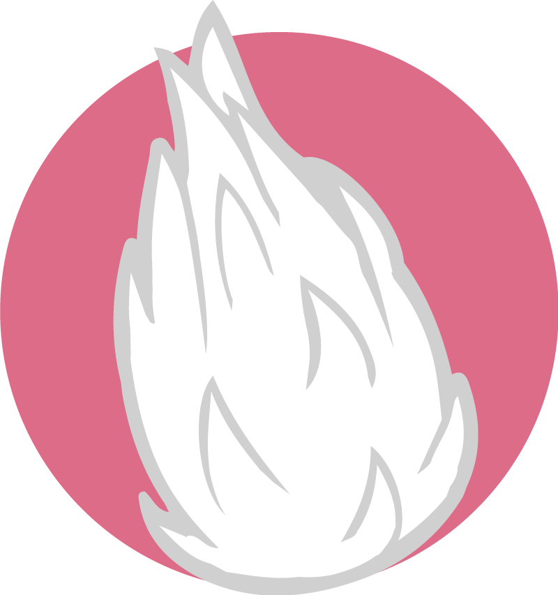 find your flavor dragonfruit